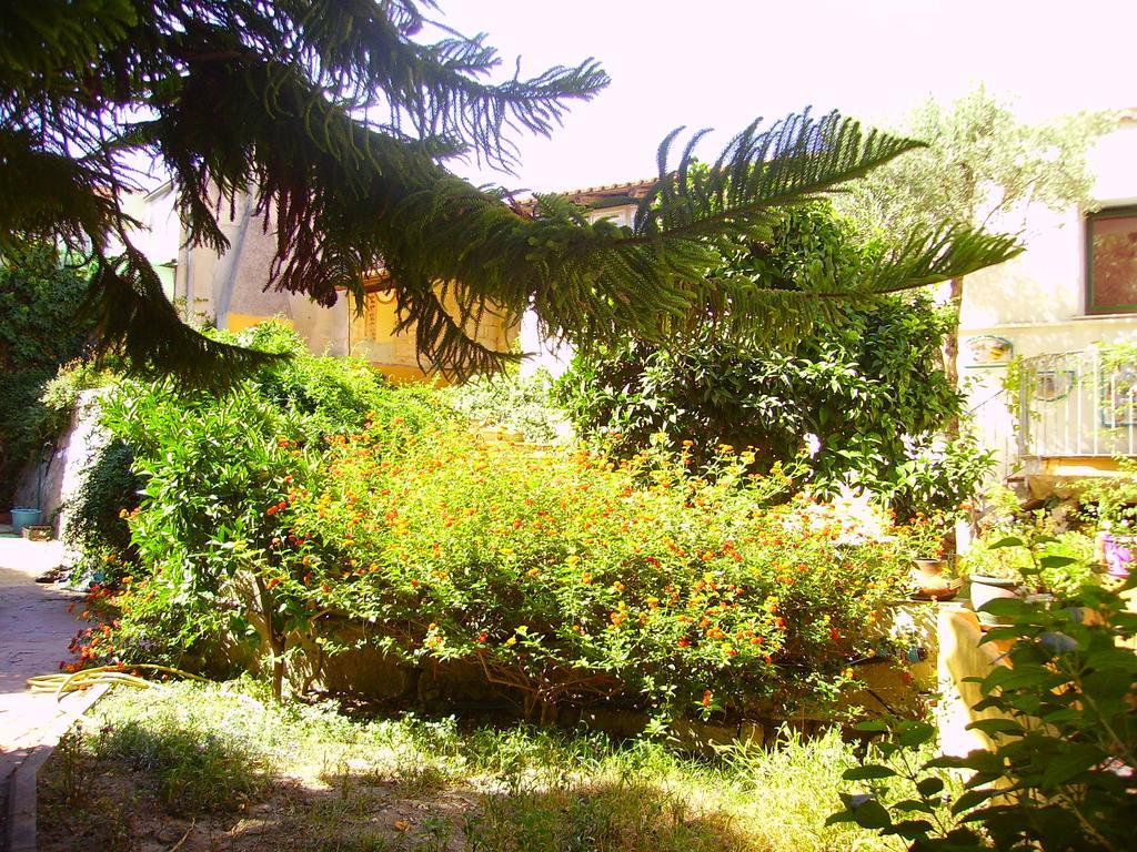 L'Antica Cantina Usini Extérieur photo